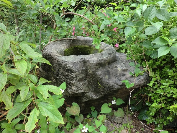 �自然石鉢